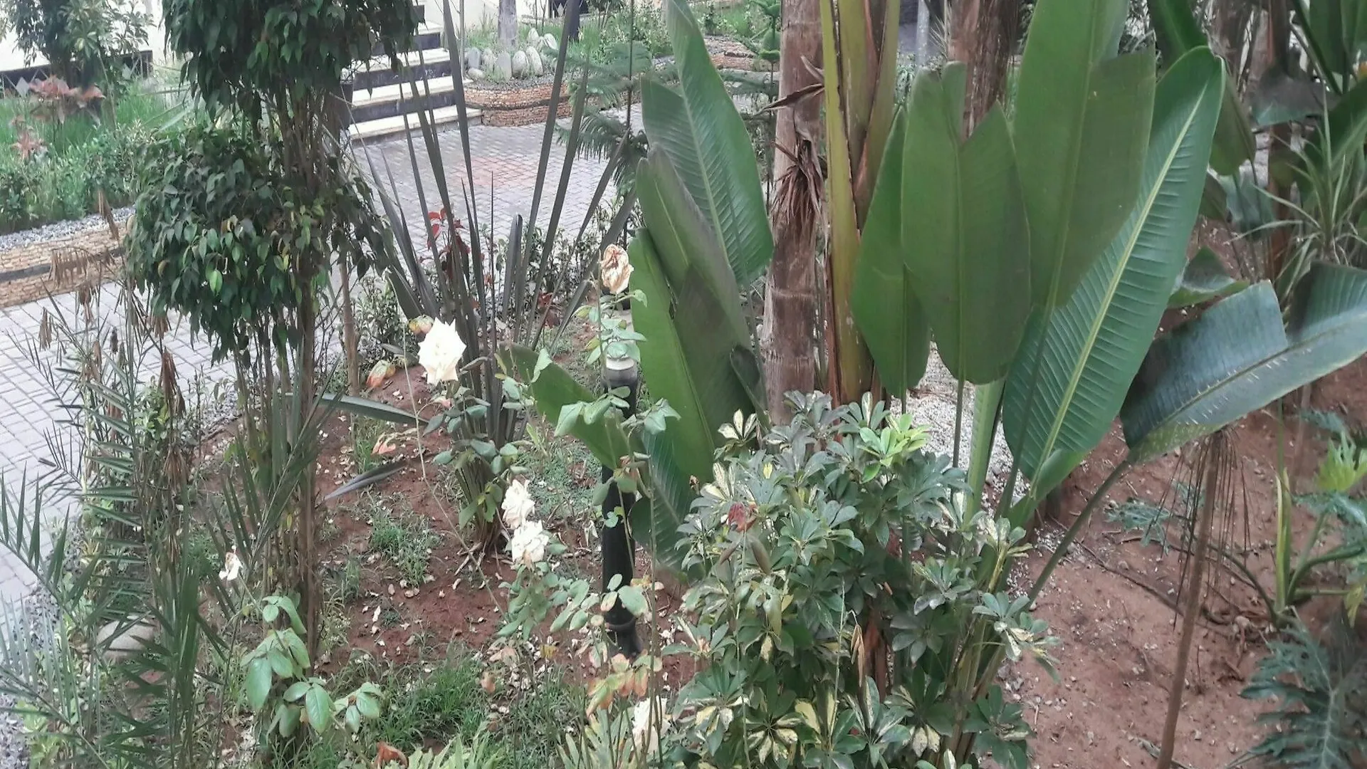 Apart East West Casa Blanca